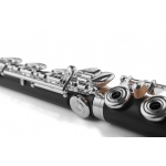 DI ZHAO CUSTOM - Flet - DZW-B