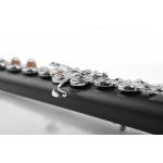 DI ZHAO CUSTOM - Flet - DZW-B