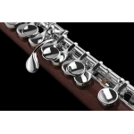 DI ZHAO - Piccolo  - DZP 301 /opcje/