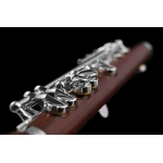 DI ZHAO - Piccolo  - DZP 301 /opcje/